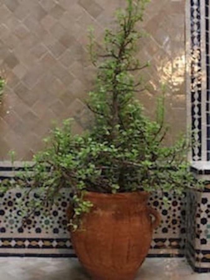 Traditional Moroccan House Тагазут Екстериор снимка